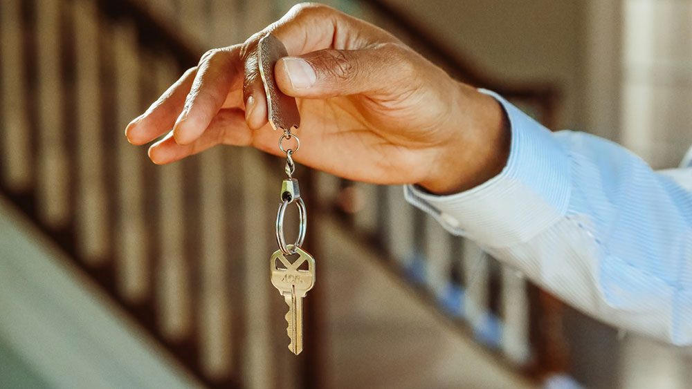 How to Choose Your Ideal Real Estate Agent in Peregian Springs?